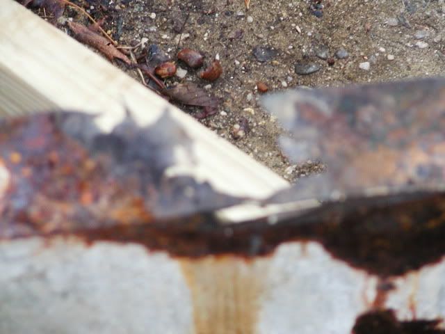 PC062619.jpg