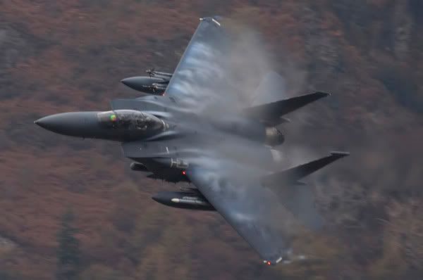 http://i565.photobucket.com/albums/ss93/Neilly105/F-15EIMG_8344es.jpg