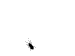 av65839yu6.gif picture by salmonellacoli