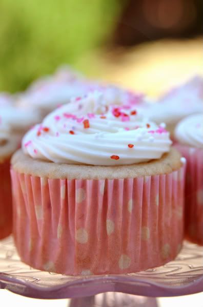 strawberry cream cheese cupcakes