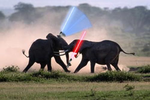 http://i565.photobucket.com/albums/ss95/animalswithlightsabers/elephantsaber1024.jpg