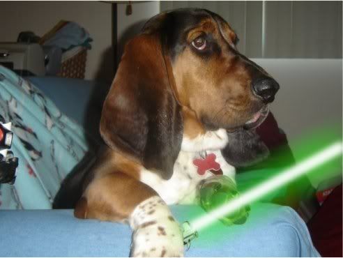 http://i565.photobucket.com/albums/ss95/animalswithlightsabers/henrylightsaber2.jpg