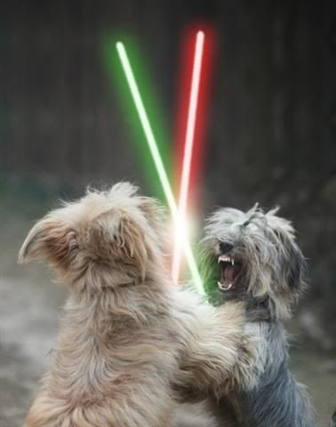 Dogs with lightsabers