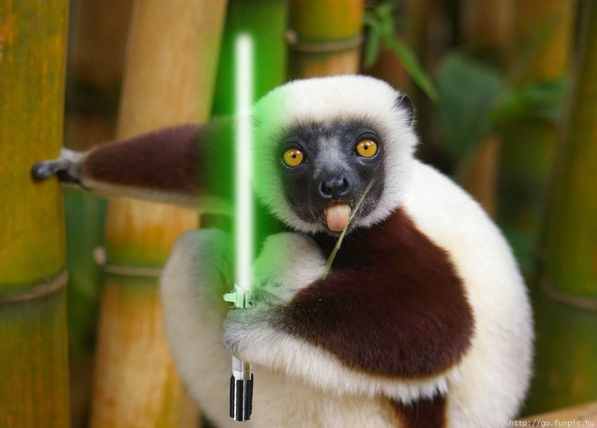 lemur_saber.jpg