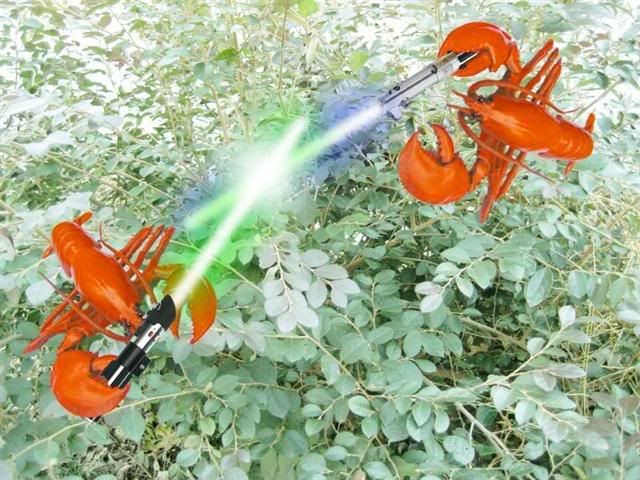 Lobsters with lightsabers