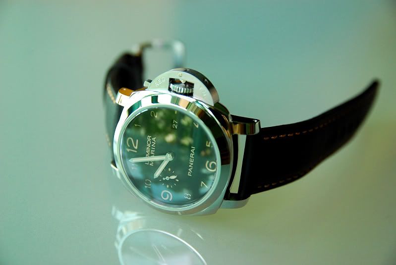 PAM35902.jpg