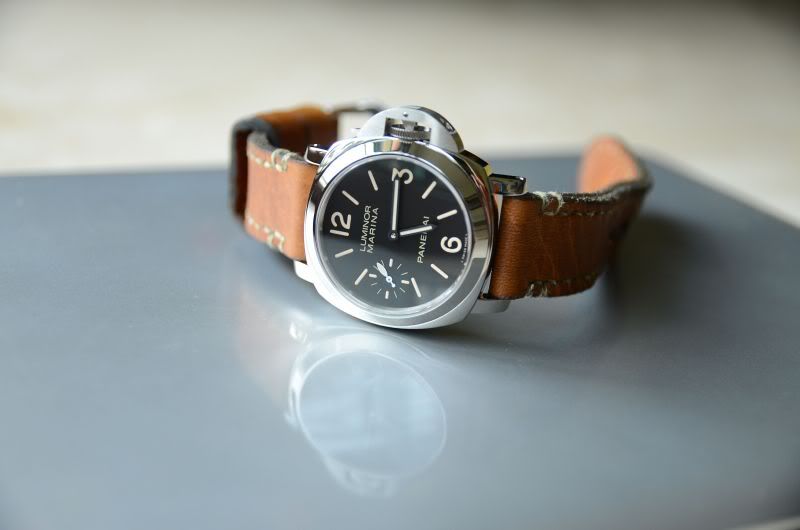 PAM367_01.jpg