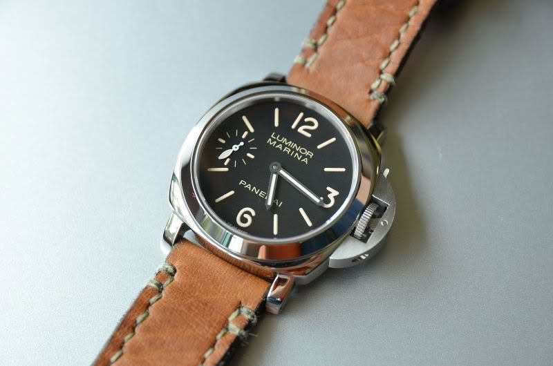 PAM367_02.jpg