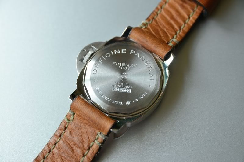 PAM367_03.jpg