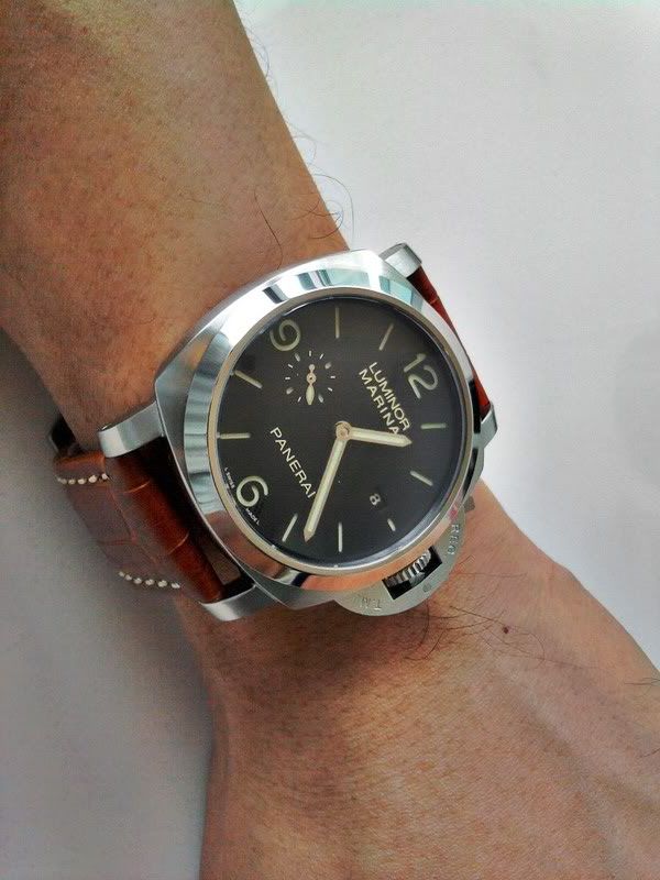 PAM312L20110908.jpg