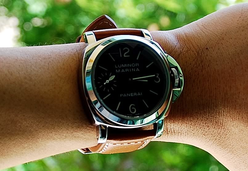 WristshotPanerai111H.jpg