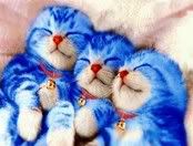doraemon.jpg doraemon image by swinginggirl