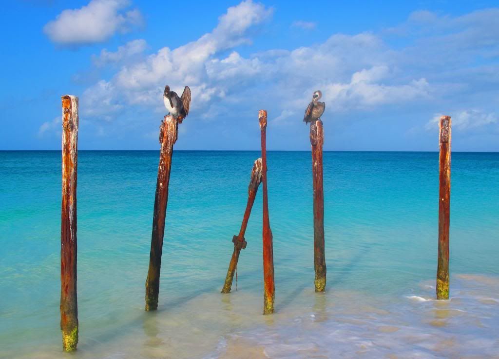 IMAGE: http://i565.photobucket.com/albums/ss97/Jeepin951/IMG_0827_zpse4e8a3c4.jpg