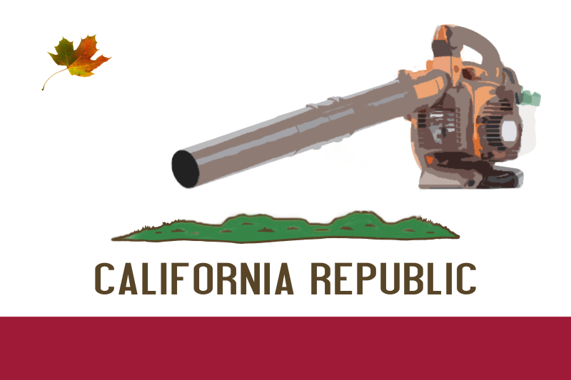 california flag. California#39;s New Flag