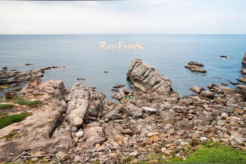 http://i565.photobucket.com/albums/ss99/7018VZ/2010-07-10%20Ruei%20Fang/nEO_IMG_RueiFang_DSC0034.jpg