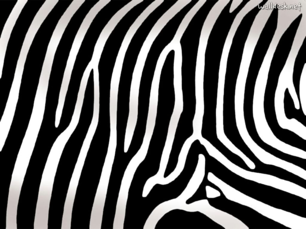 huge zebra print