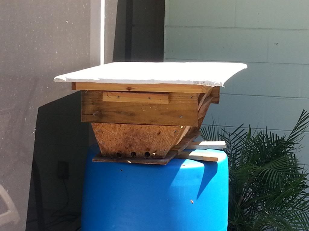 Here's the wacky barrel hive that is yet to have bees in it. It has