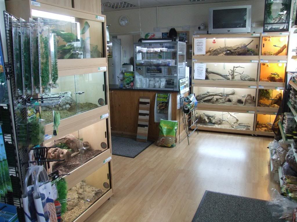 Reptile World Reptile Forums