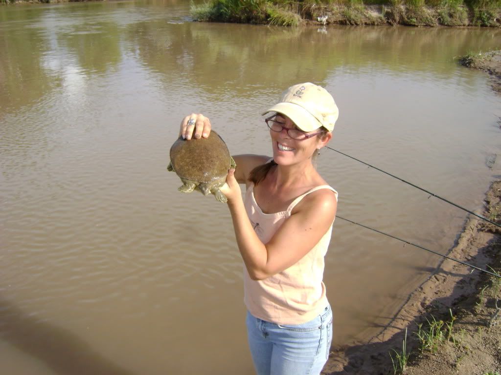 fishingturtlebeach001.jpg