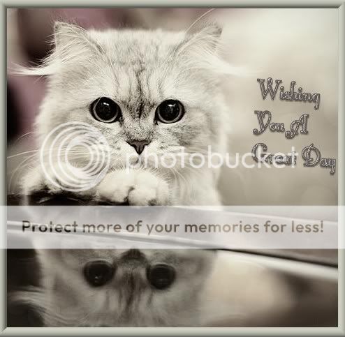 Havegreatday.jpg