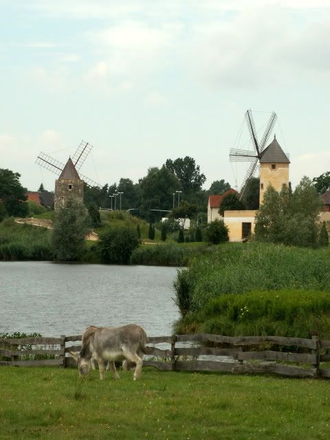 Gifhorn. Internationales Wind- und Wassermühlen-Museum